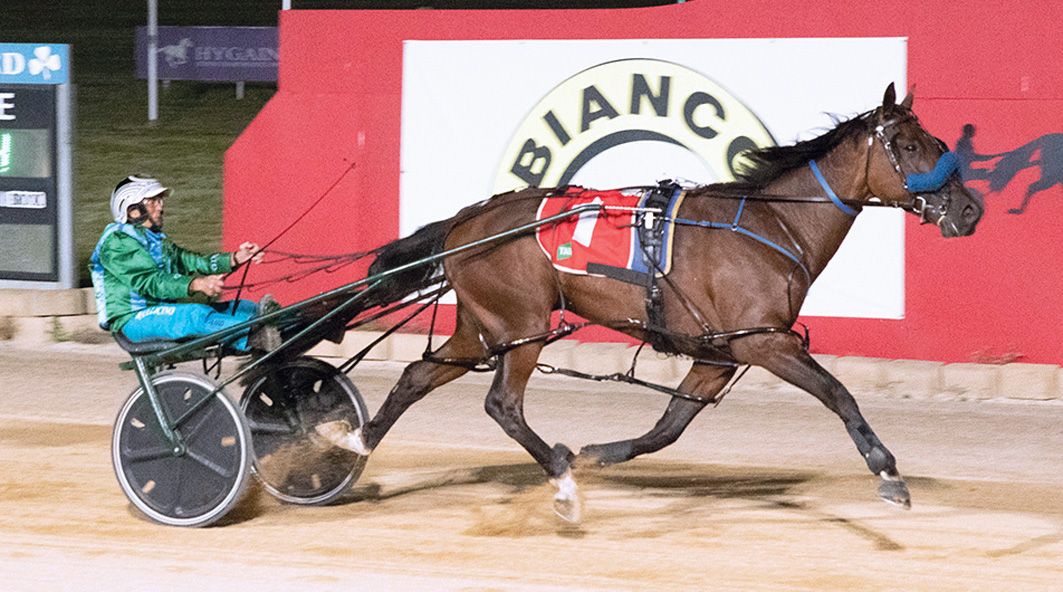 Closure leaves trainer searching for options