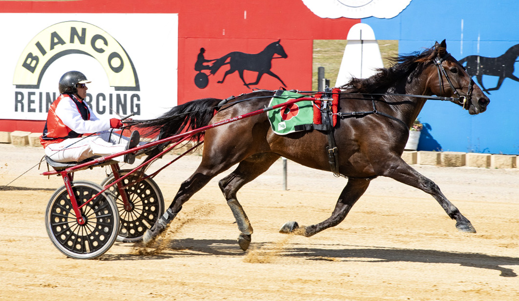 Last year was a disaster