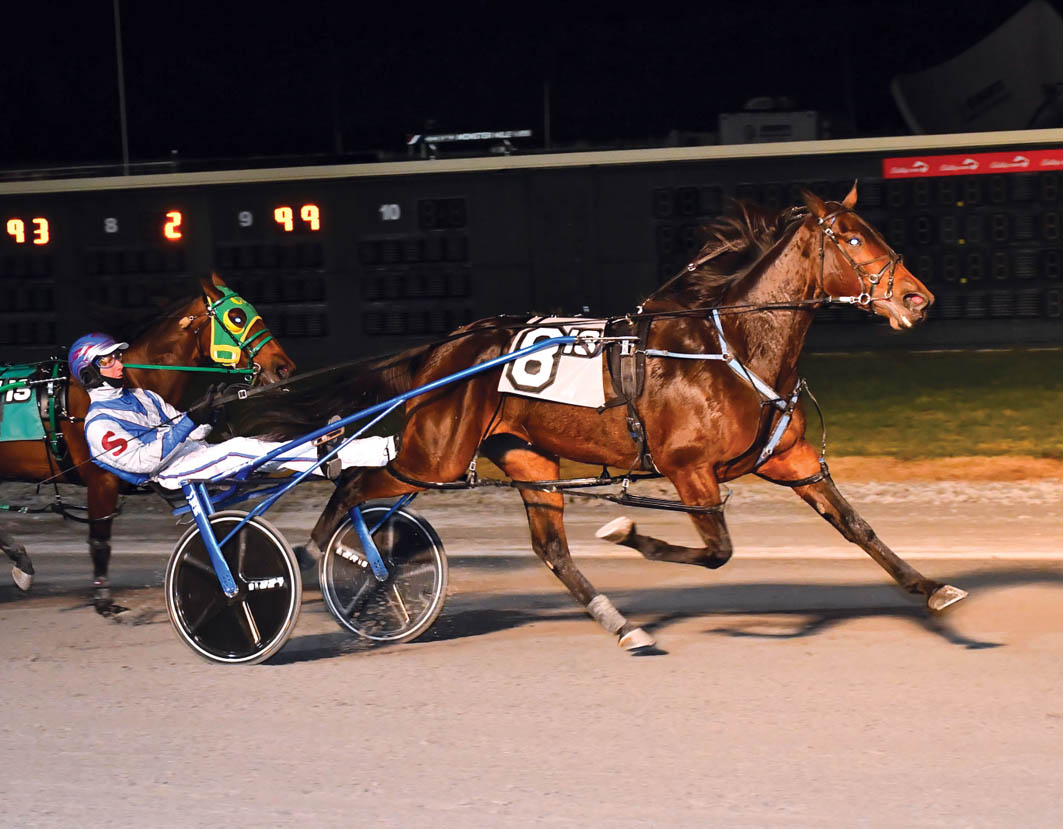 Aussie reinsman back for more at Yonkers