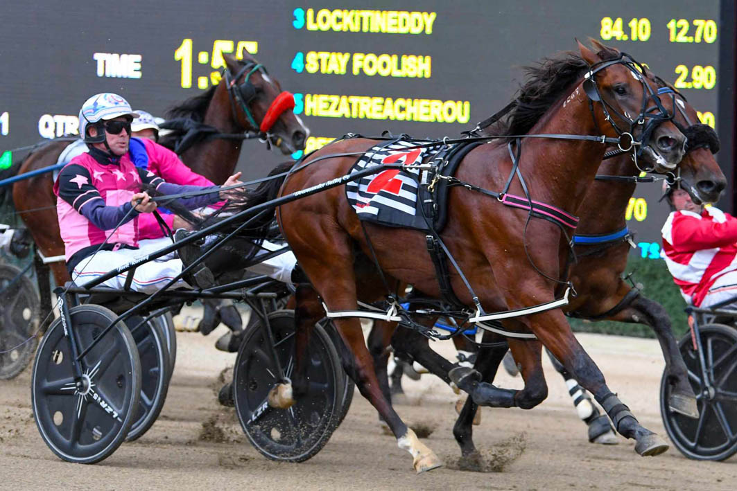 Exceptionally-bred freshman remains undefeated