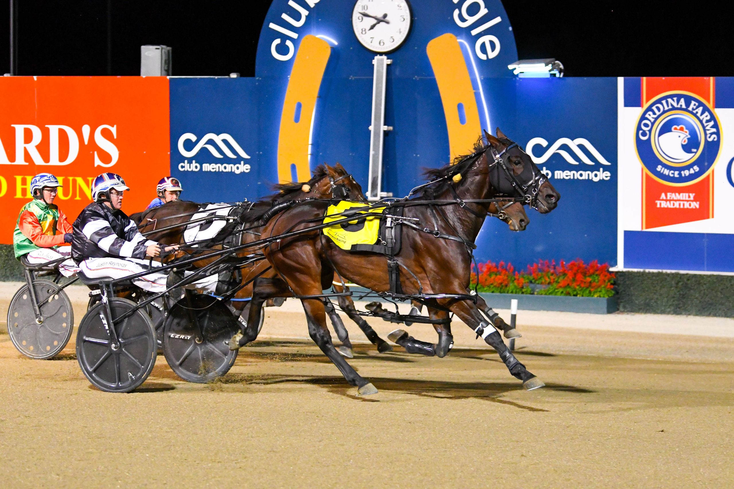 Reason to celebrate for White, Reynolds