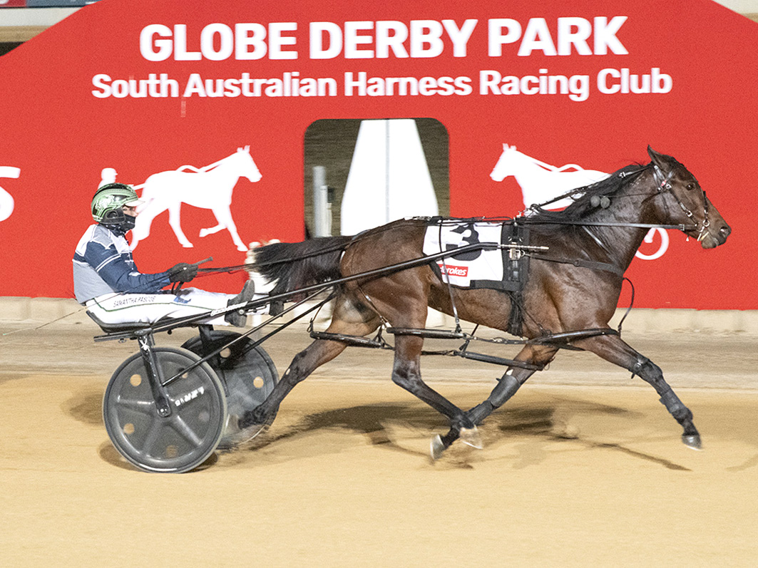 Vicbred cliché continues