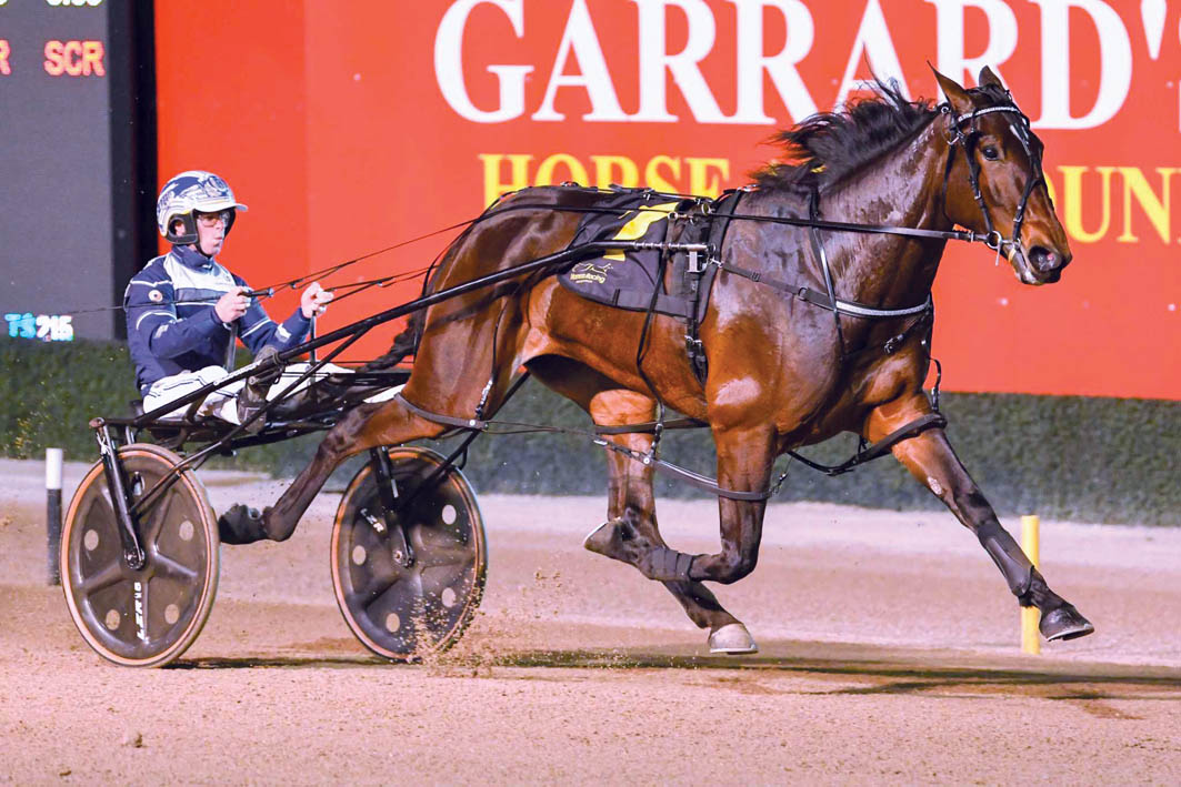 Draw puts undefeated record at risk