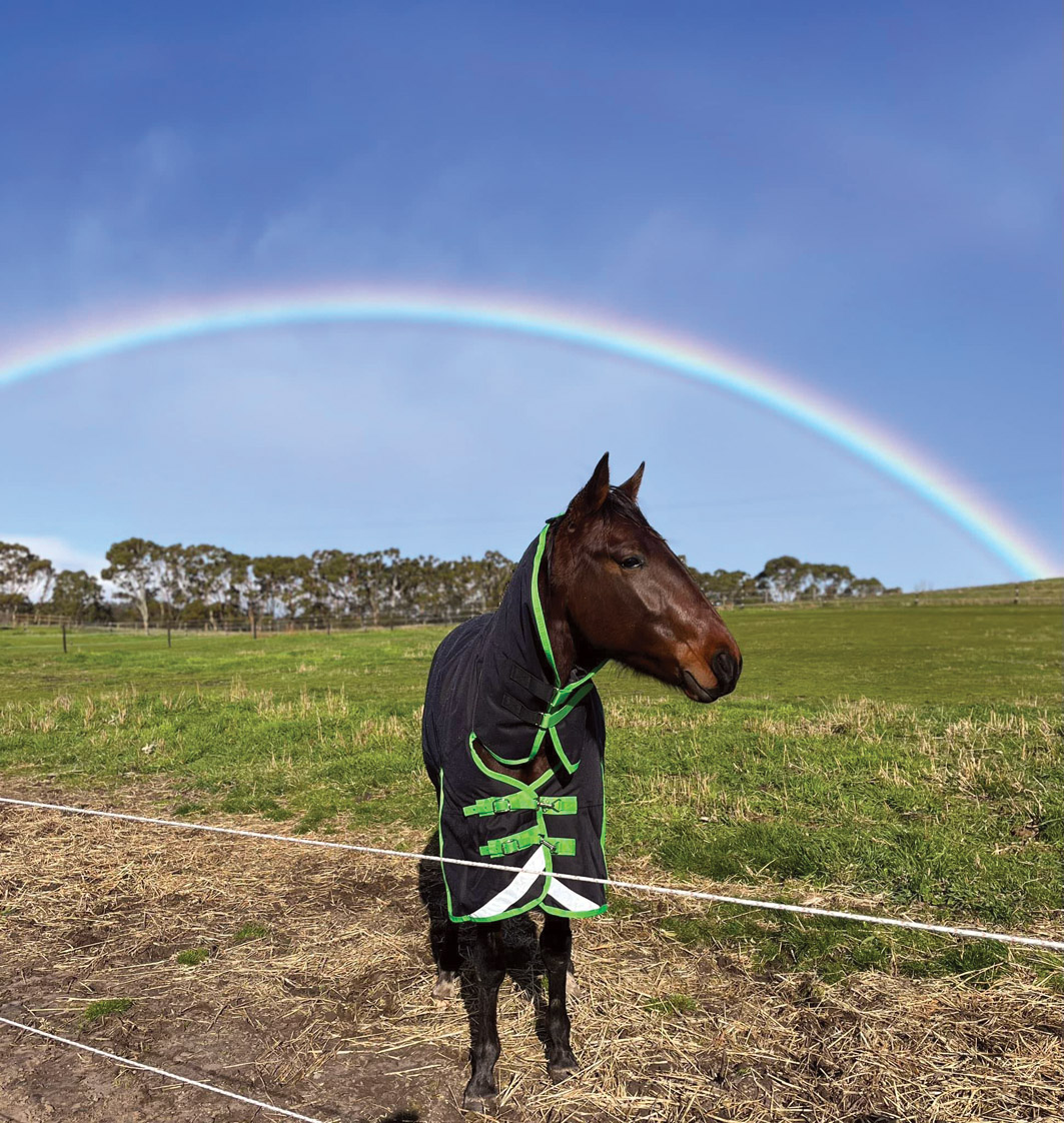 All sunshine and rainbows as perfect season continues