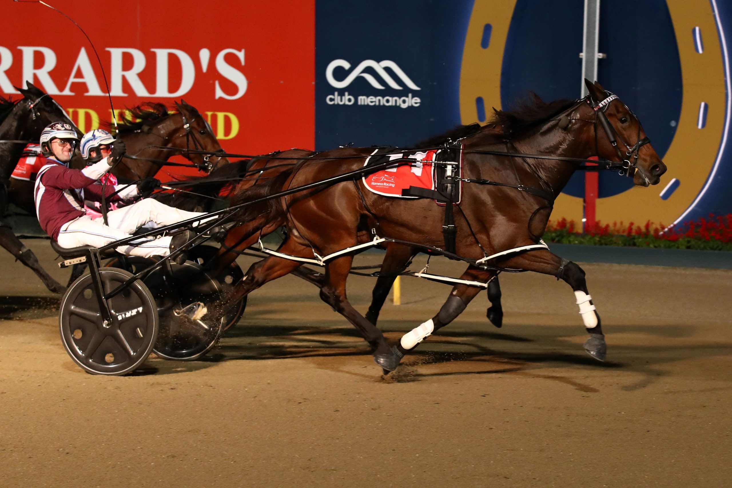 Champion mare looks to have 'Ranji Bill' covered