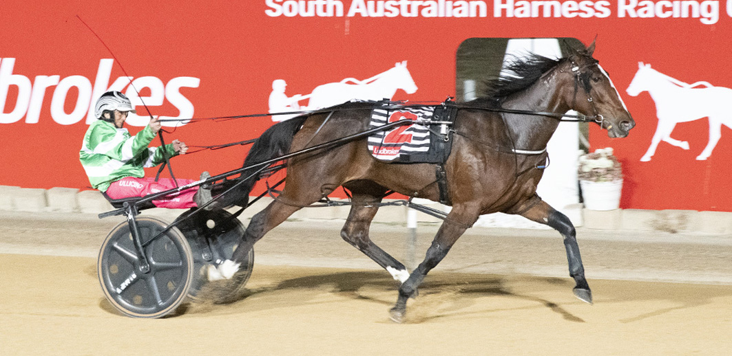 Stablemate biggest threat to perfect record