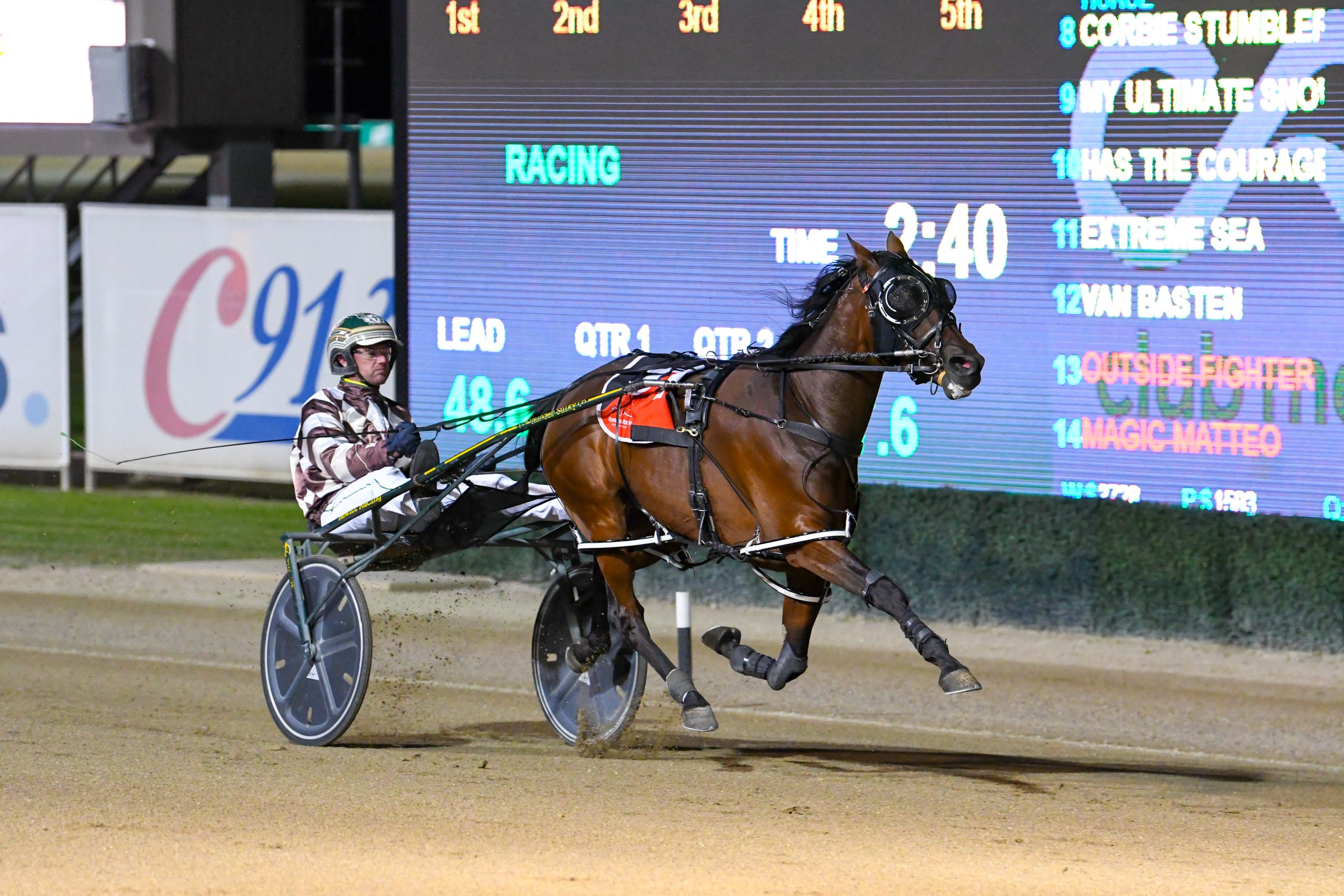 Star has earned a week or two in the paddock