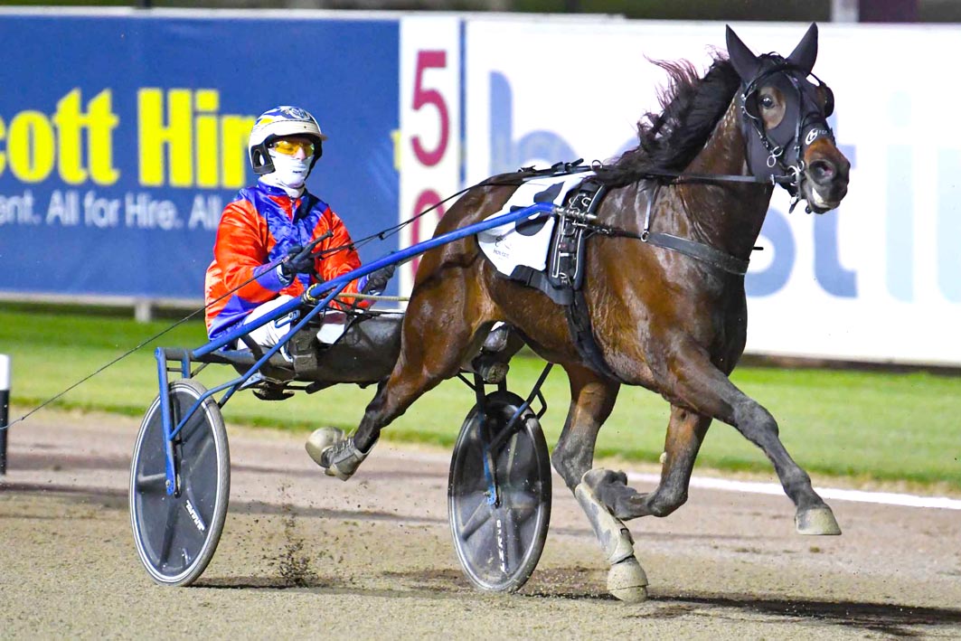 Stablemates book northern campaign