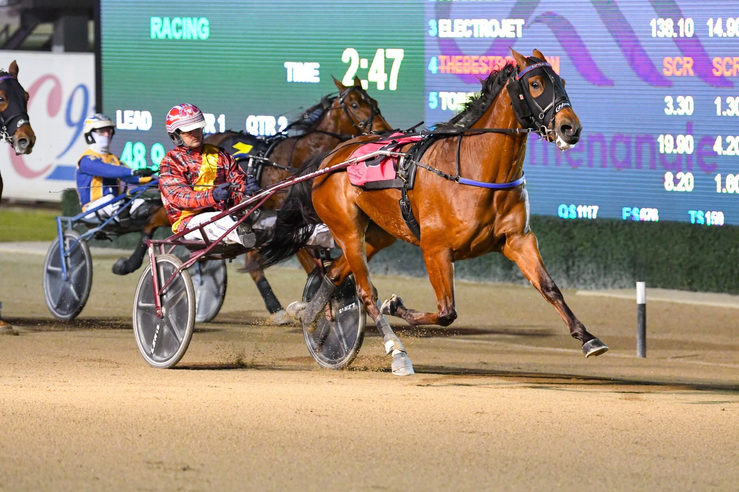 London To A Brick we'll find you a winner here