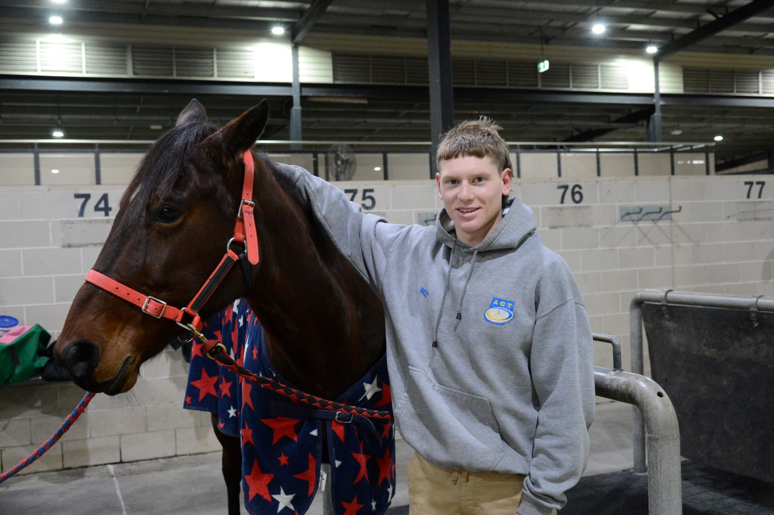 Owen's loving his journey into harness