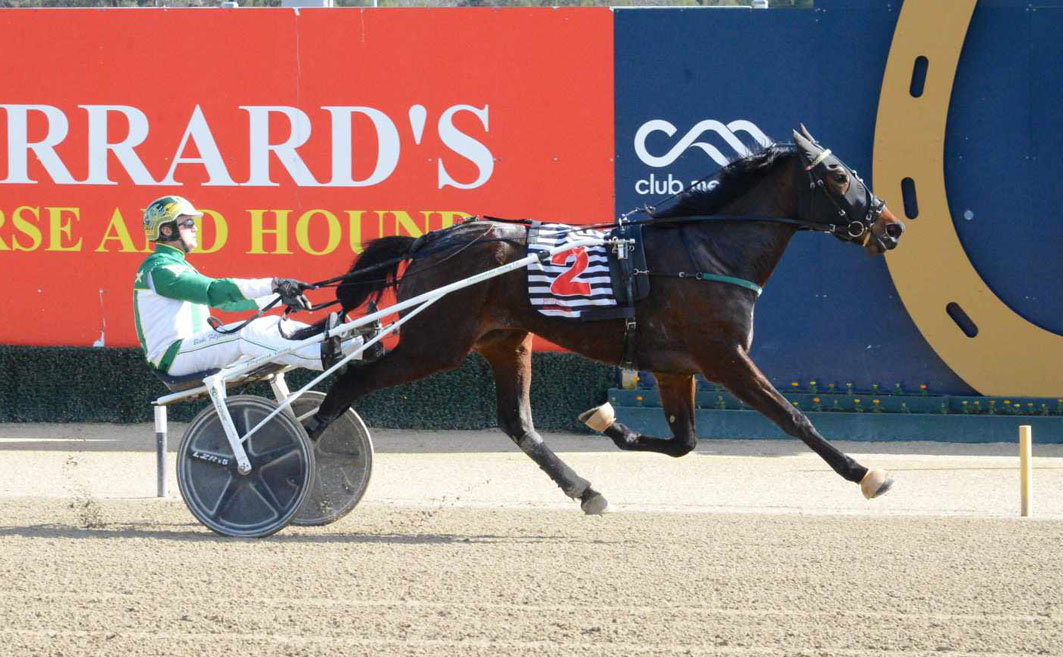 Leading horseman spreading his winners around at 'The Big M'