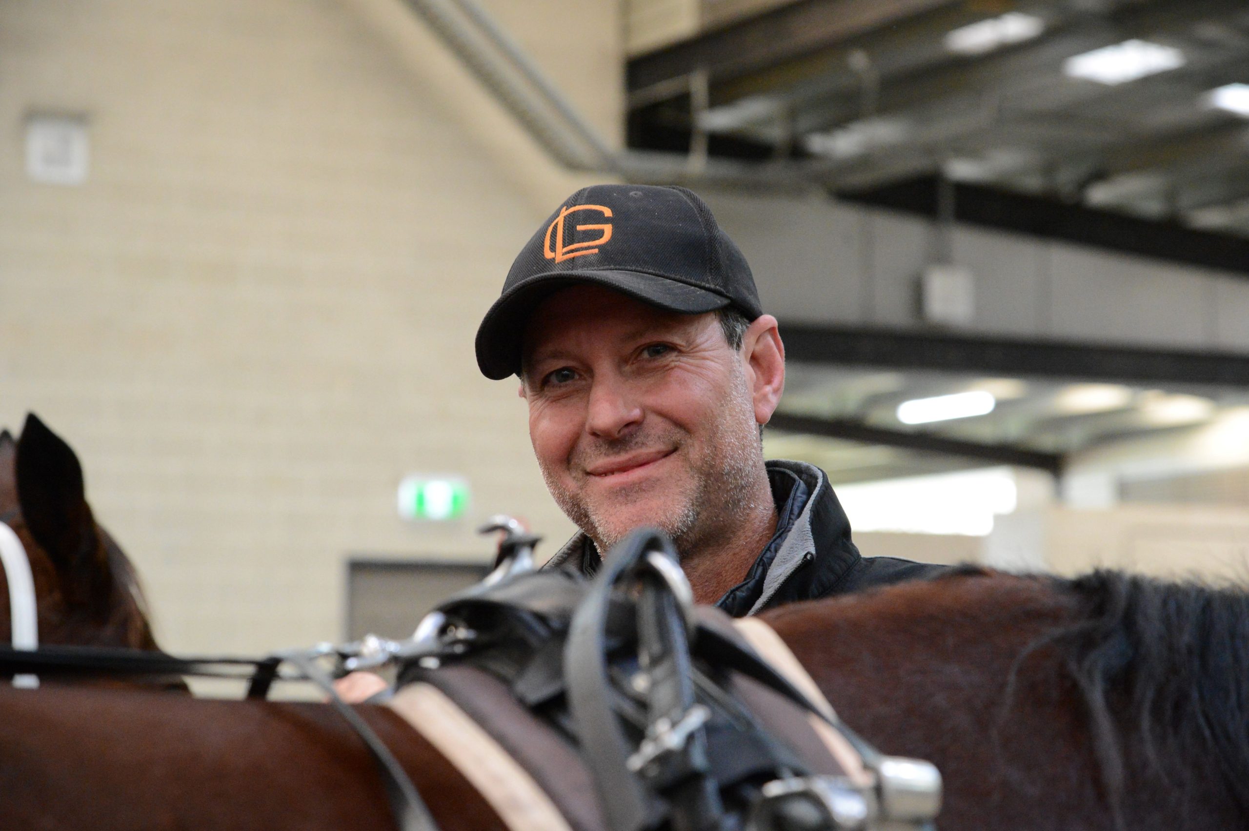 Breeding barn beckons . . . and a feature win would be 'Bliss'