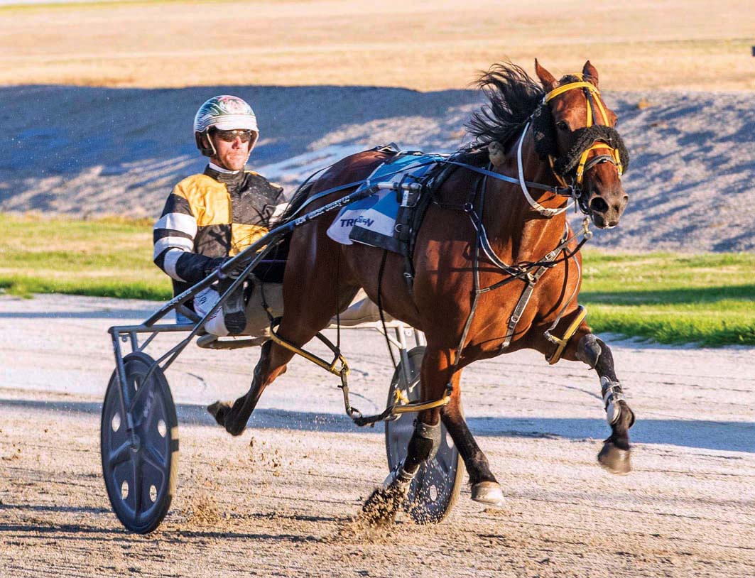Victorian raider ready for action