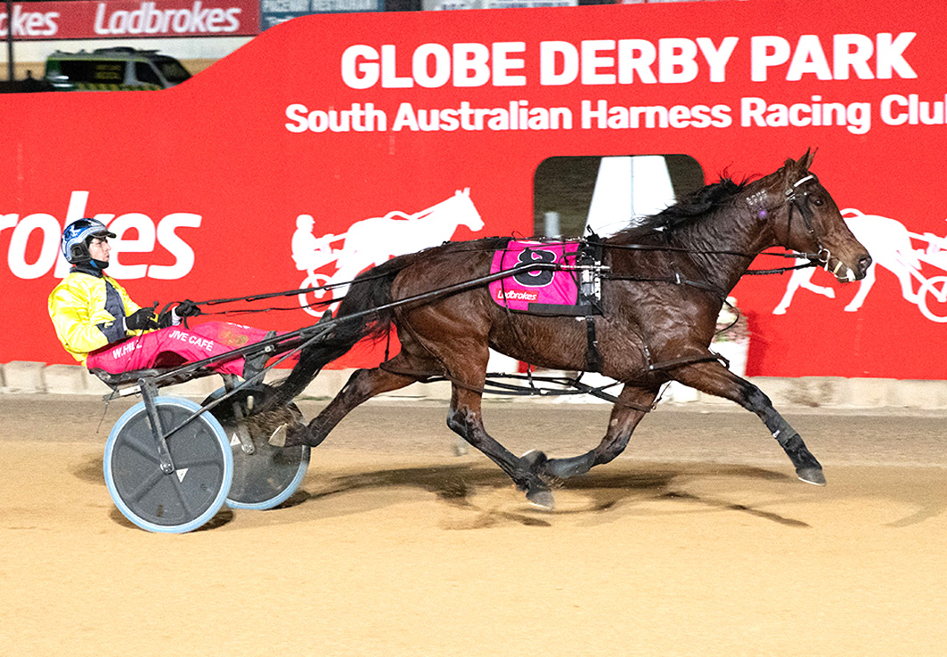 Acid test for highly-rated mare