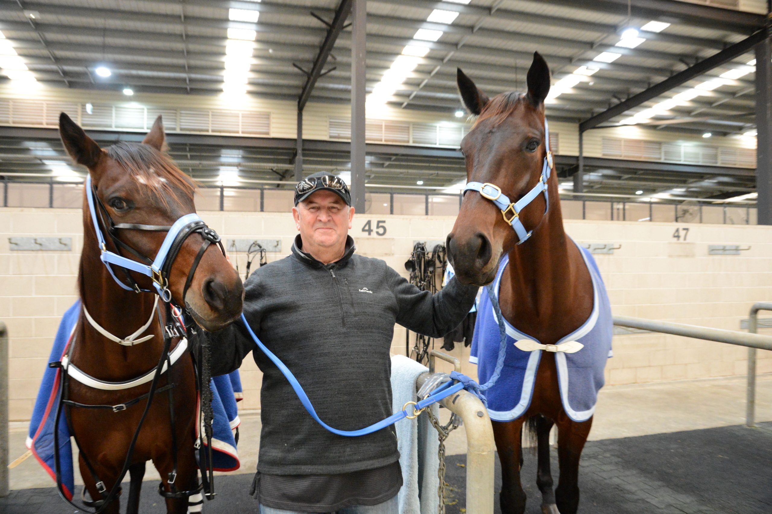 Kiwi trainers set ace horseman on right path to success