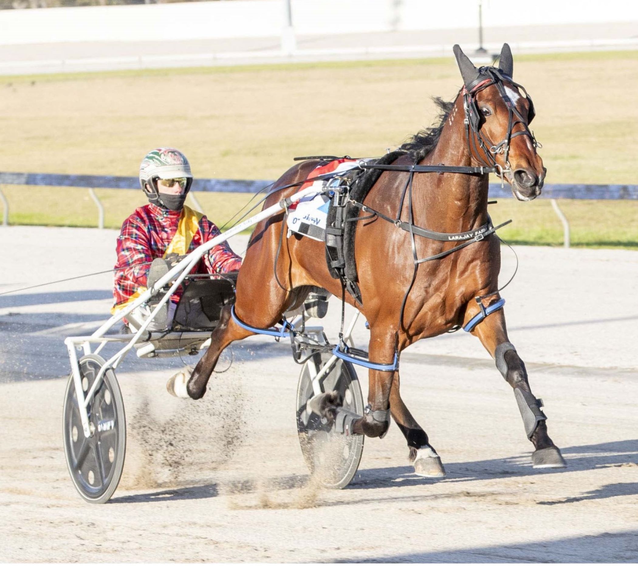 Rising star back following near-death experience