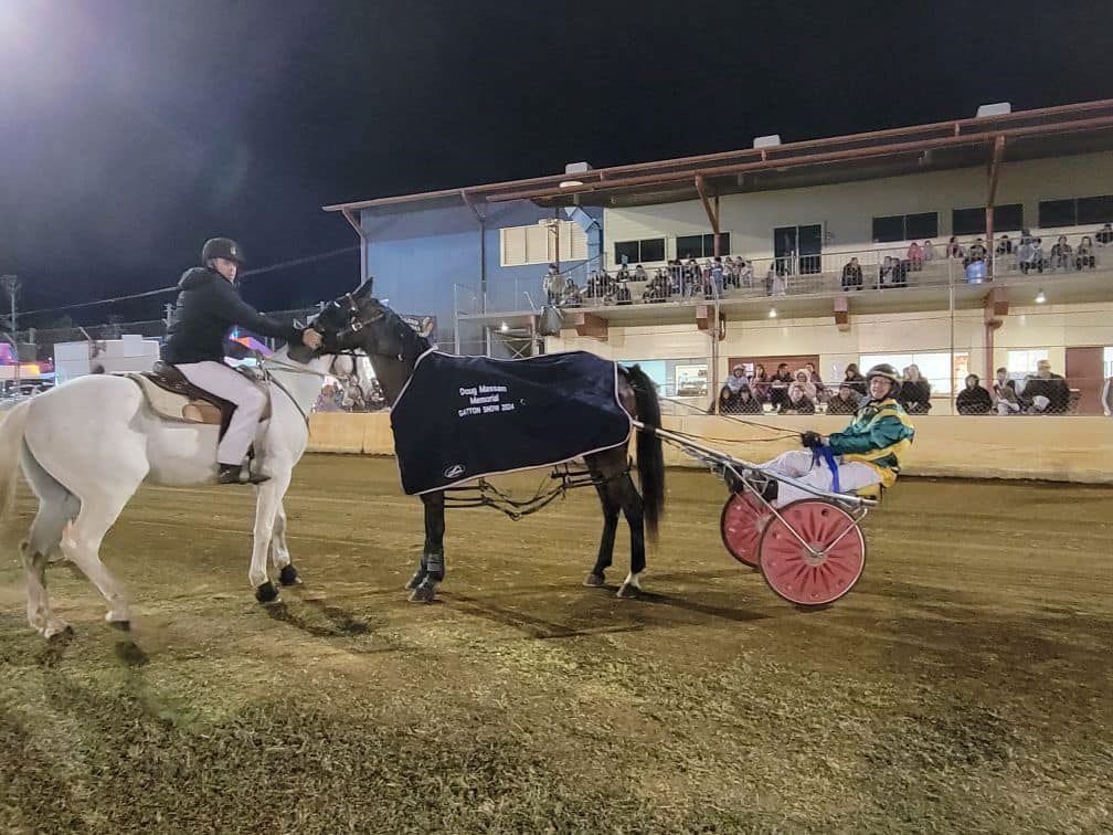 Stallion service auction a boost to feisty harness club