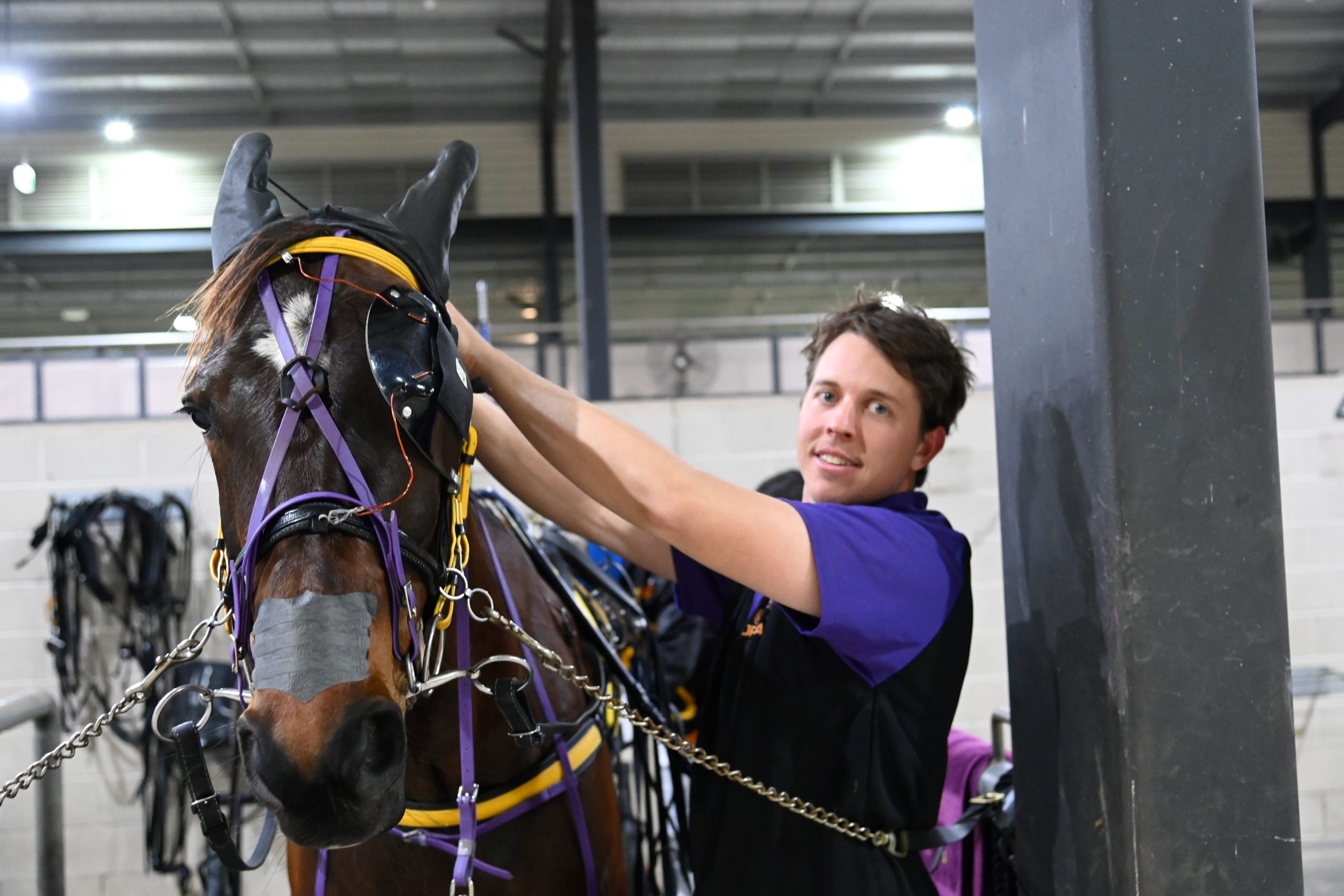 Never Ending story on track for an exciting finish