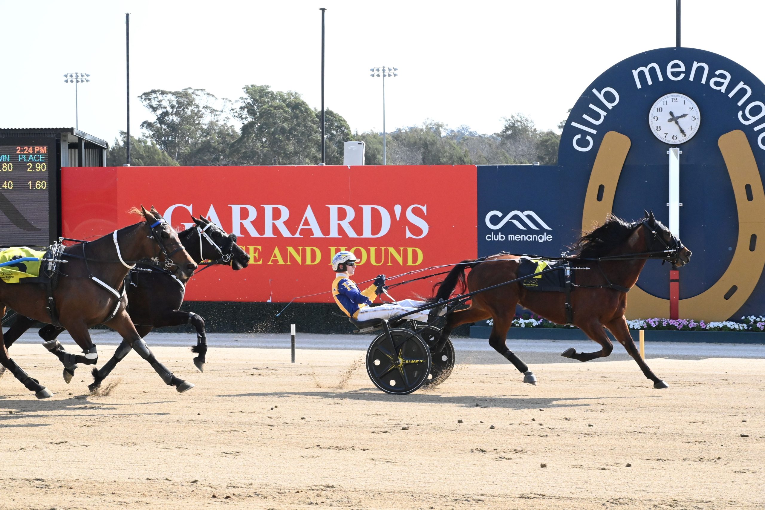 Trotters' Carousel heat winners ready for a final showdown