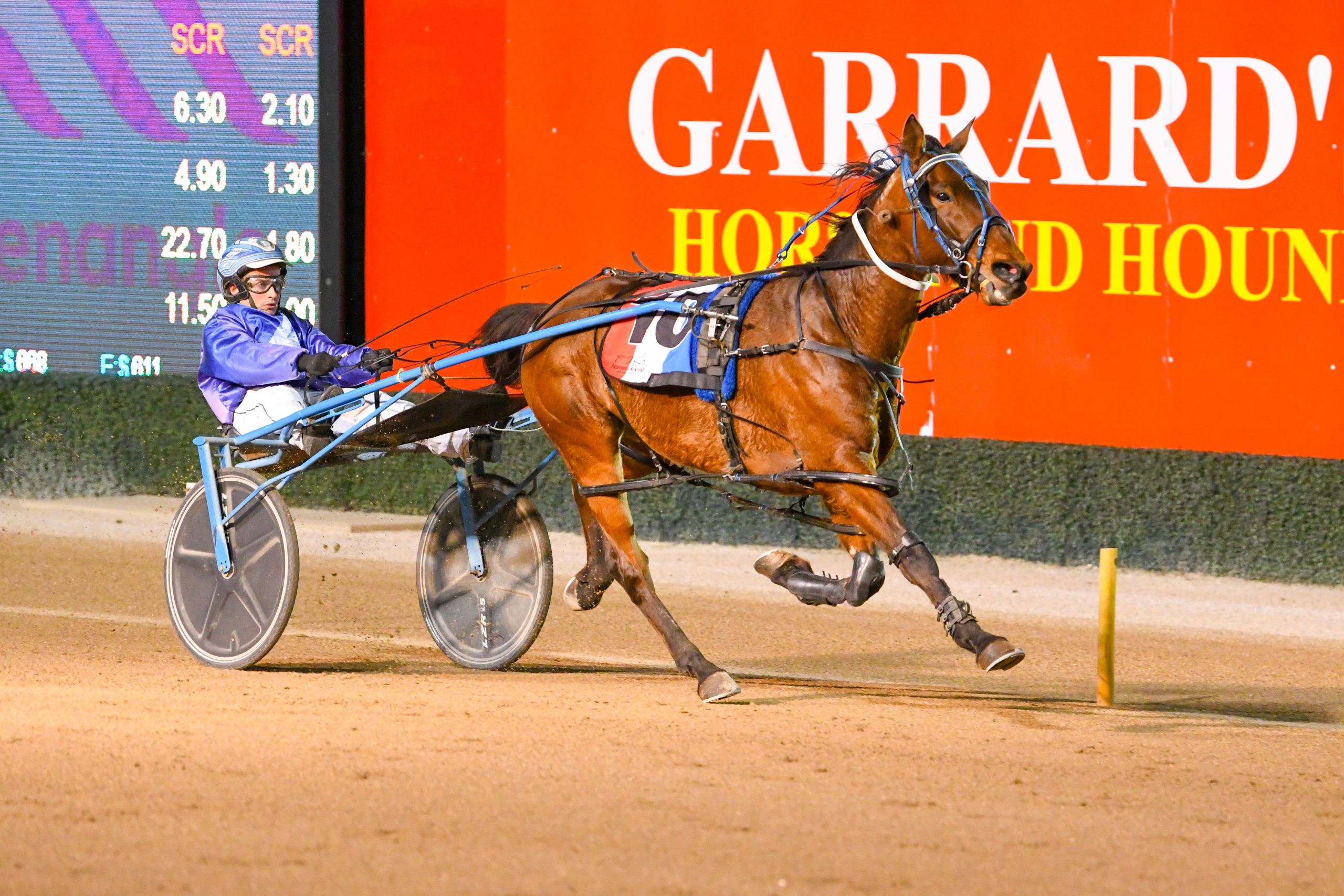 Here's the real 'Danger' for the Carousel Final