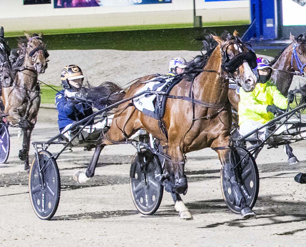 Latest domination complete