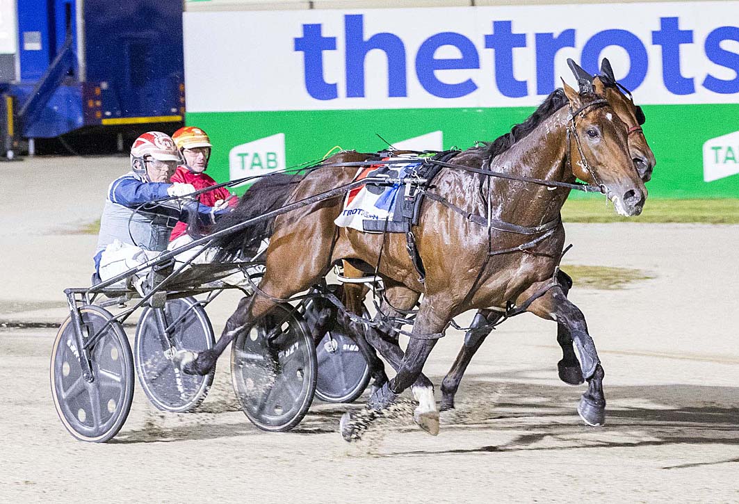 Group One winner's triumphant return