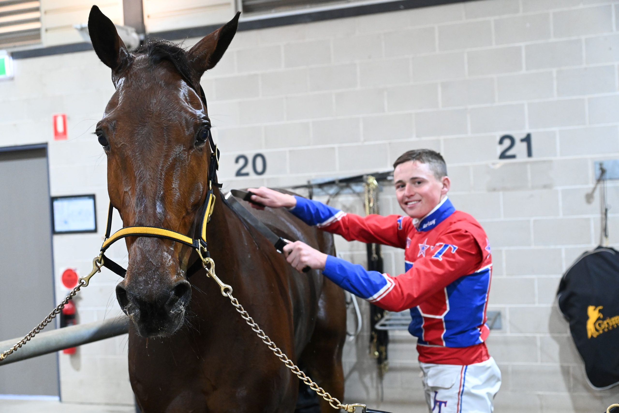 He aimed for 10 winners - but 'Jetted' past 100!