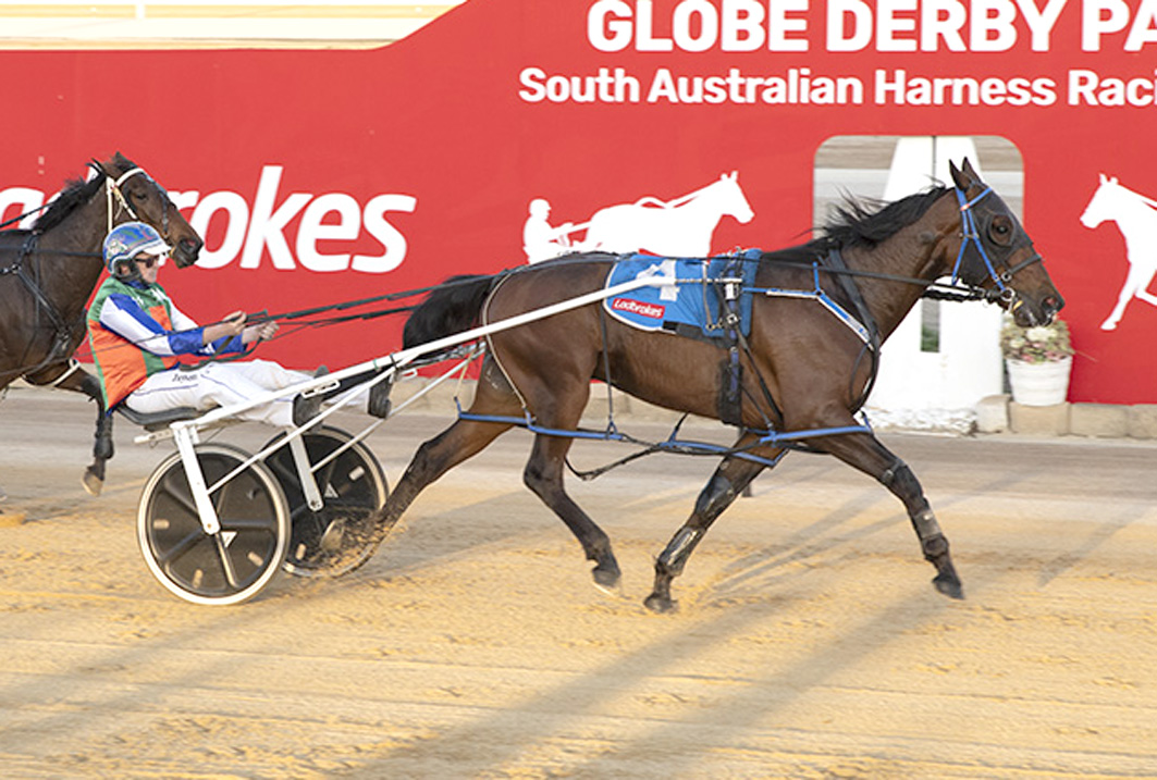 Finnis family's fairytale farewell