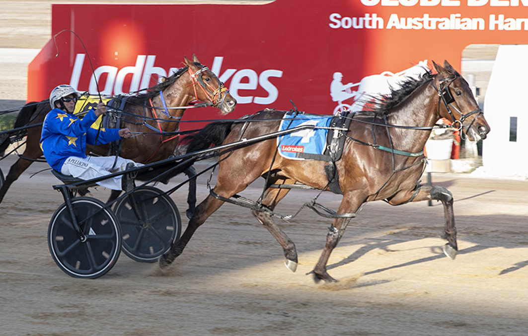 Hoping to buck the trend