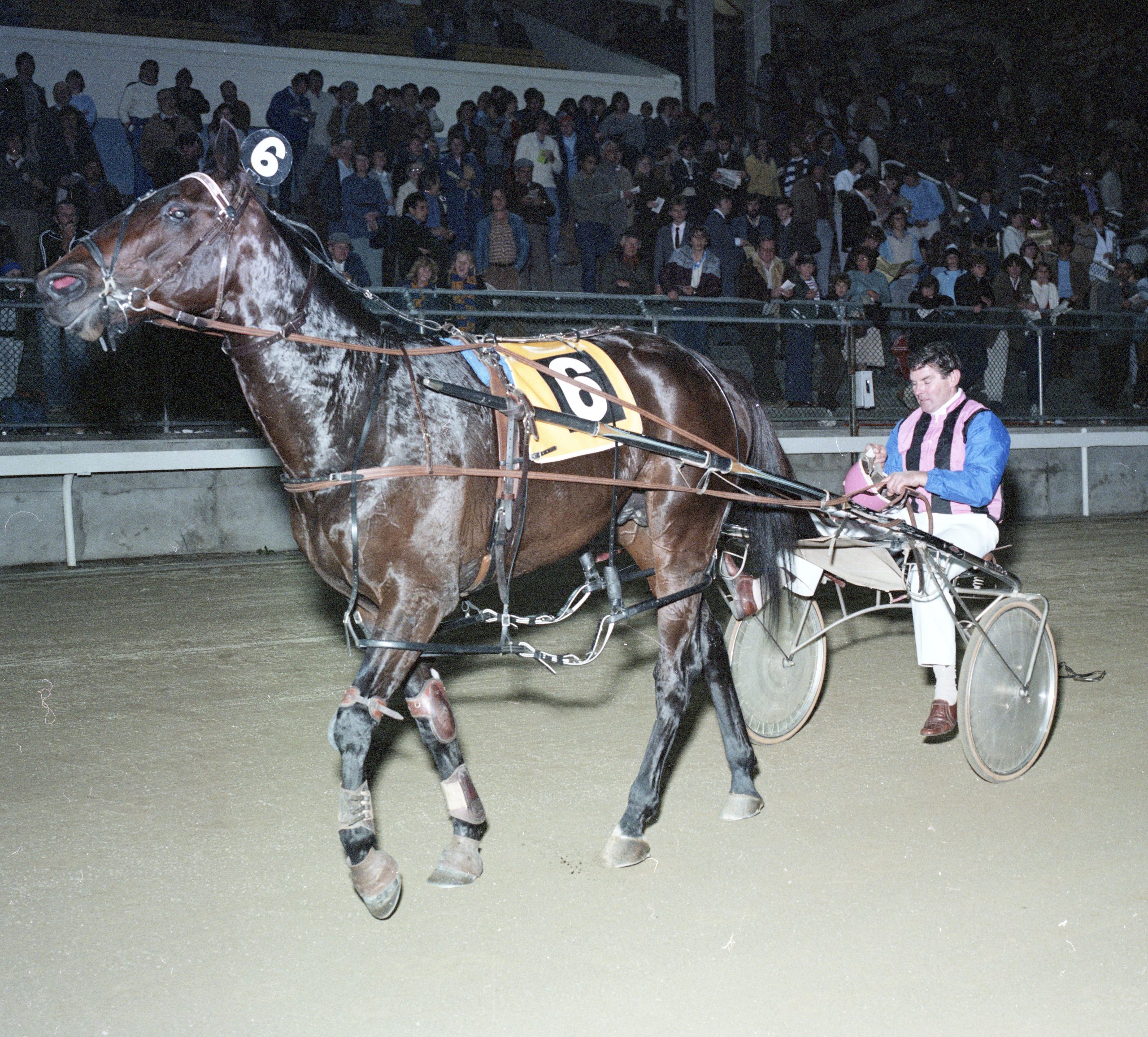 Get well soon mate: Nature's gentleman Jim on the mend