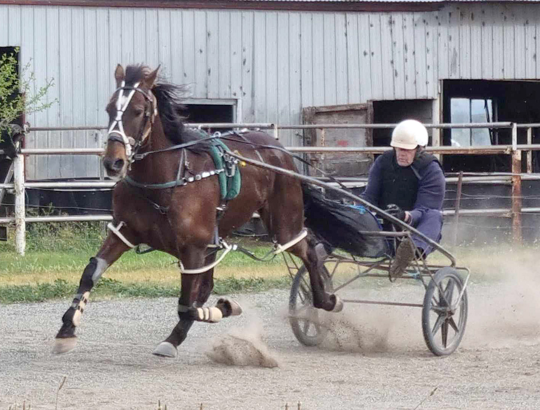 Accomplished trainer registers first win