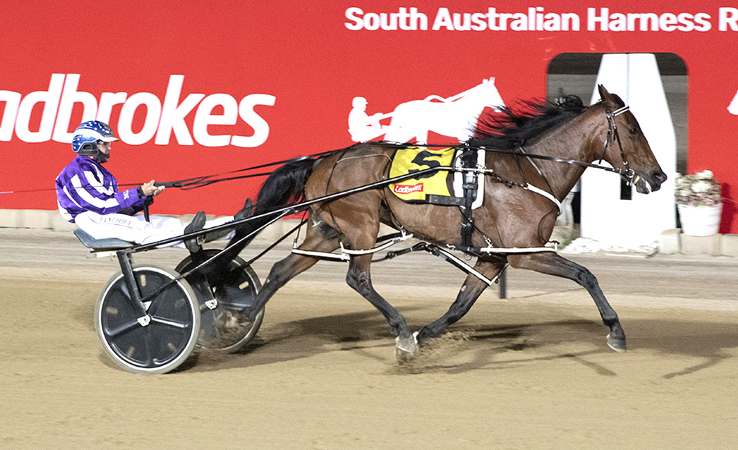 Happy homecoming completed