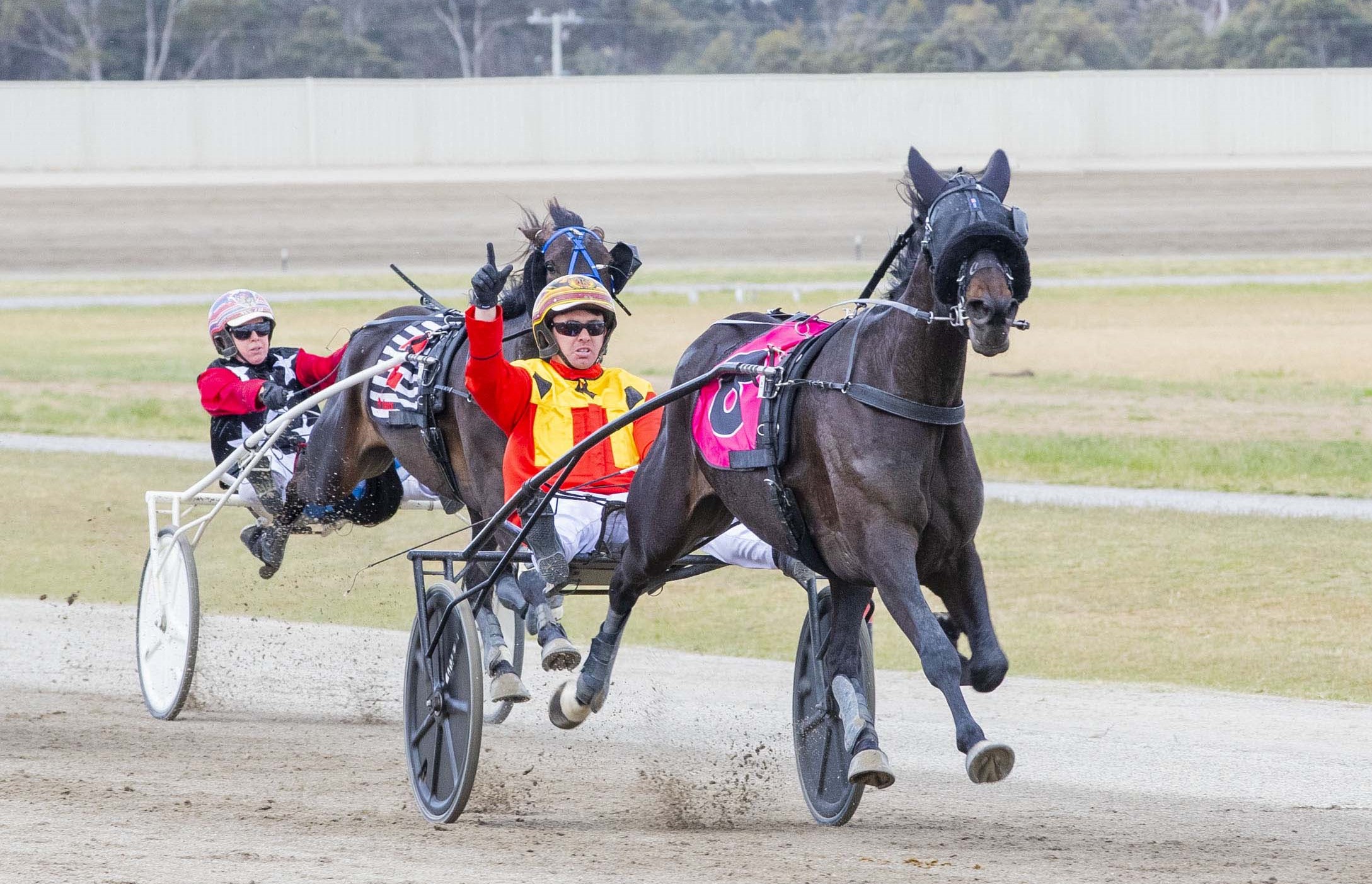 More honours for freakish trotter