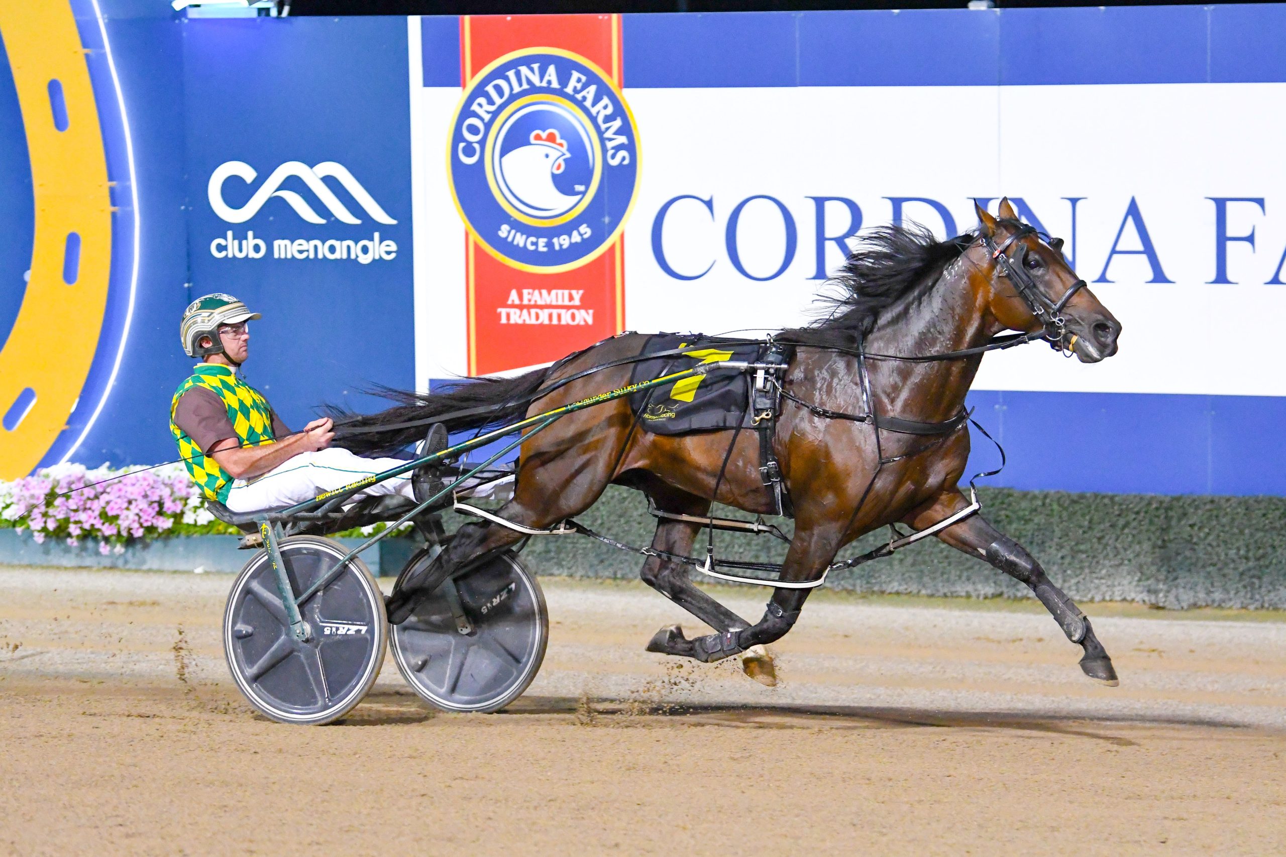 History awaits classy pacer