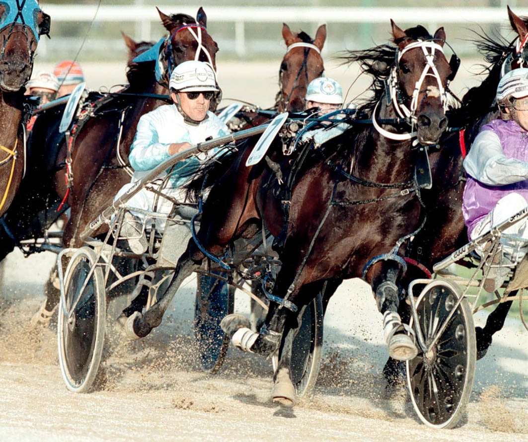 Can undefeated pacer match famous grandfather?