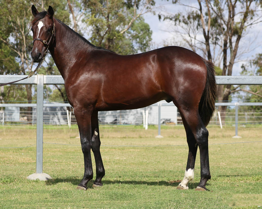 Is this your next success story?