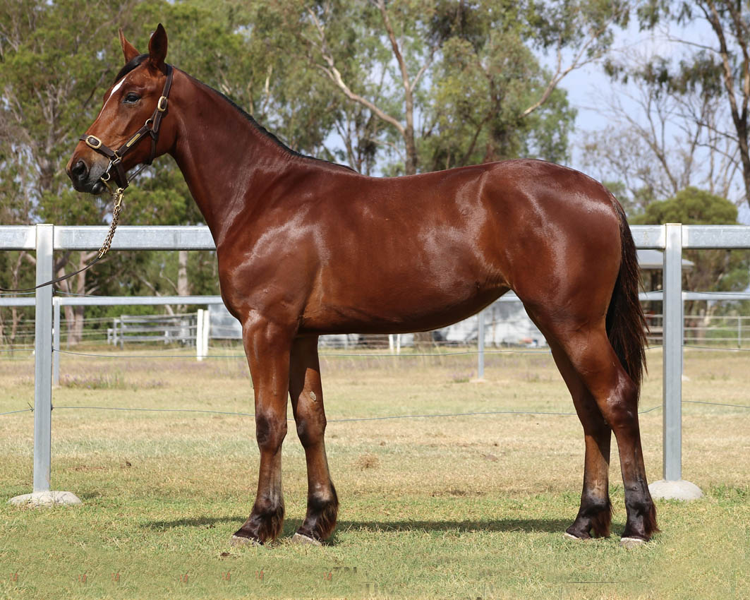 Is your next star here?