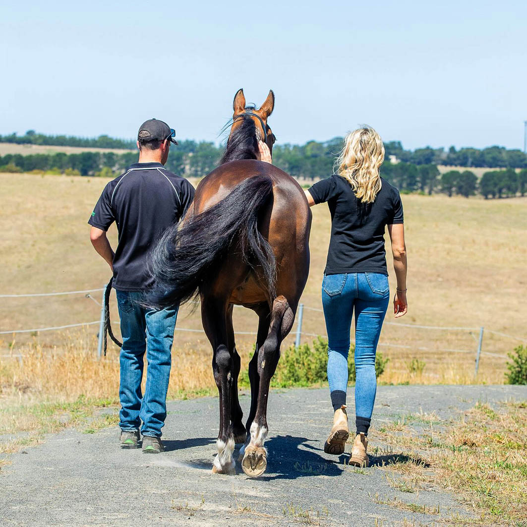 Injury ends dual Inter Dominion winner's career