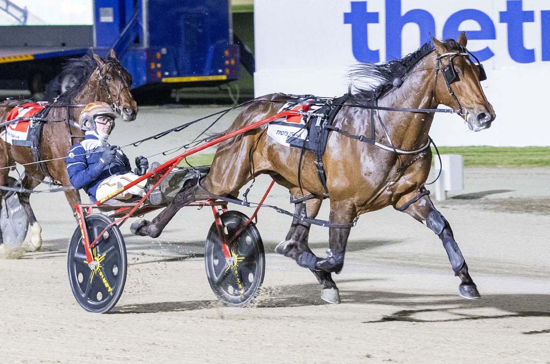 Undefeated colt heading interstate