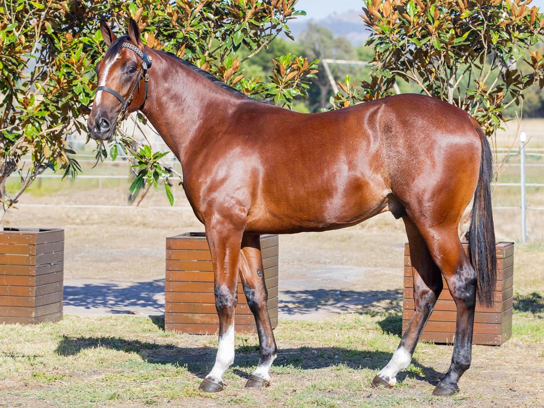 Next in long line of top performers