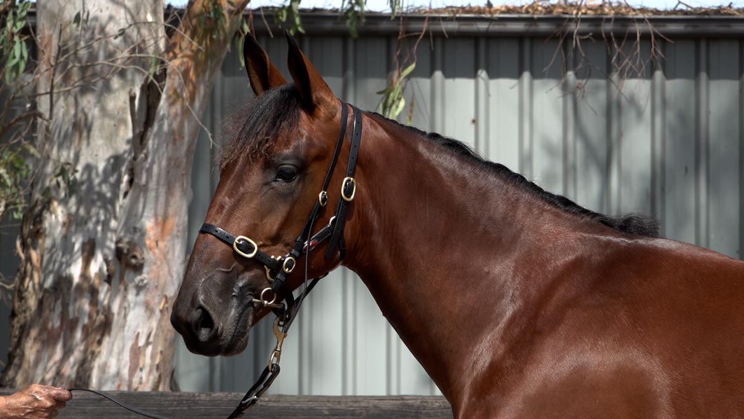 Passion strong as ever after five decades