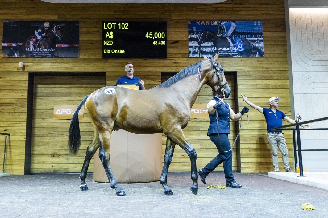 APG announce Trotting Series increase