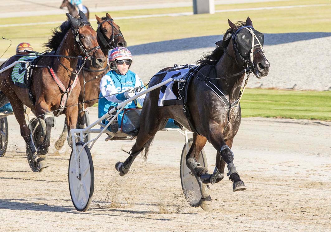 Group One winner transferred to new stable