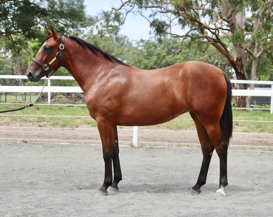 Father-and-son duo continue family passion