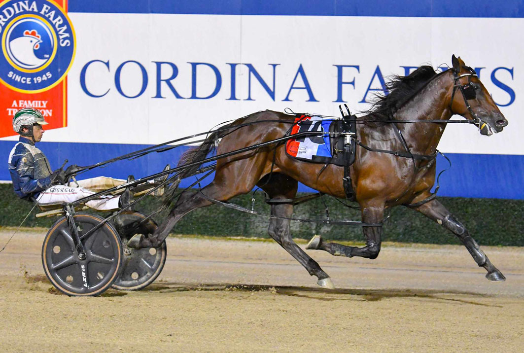 Draw not a concern with boom youngster