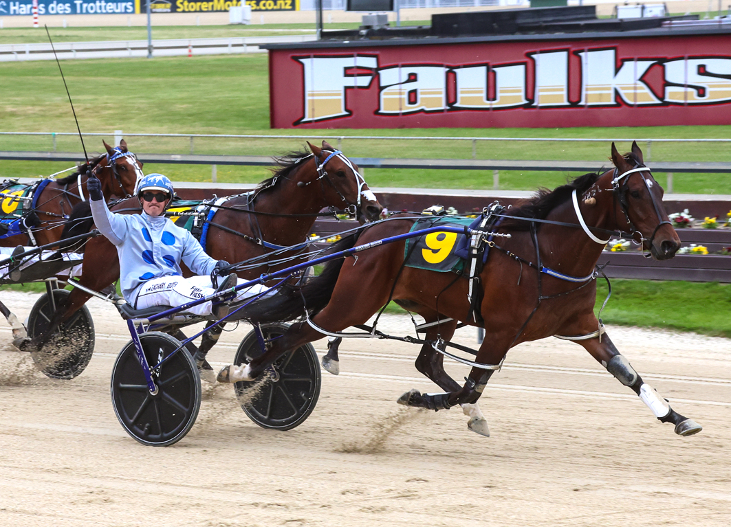 Quality Kiwi primed for Aussie debut