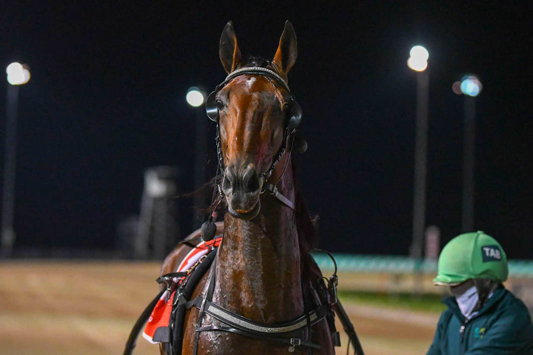 Power stable dominates in numbers