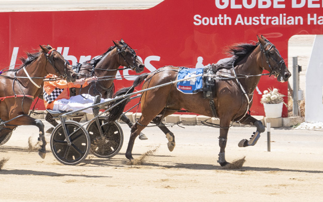 Trainer breaks 12-year drought