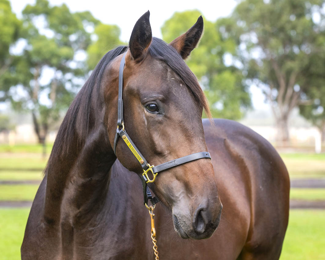 Treasure trove of quality