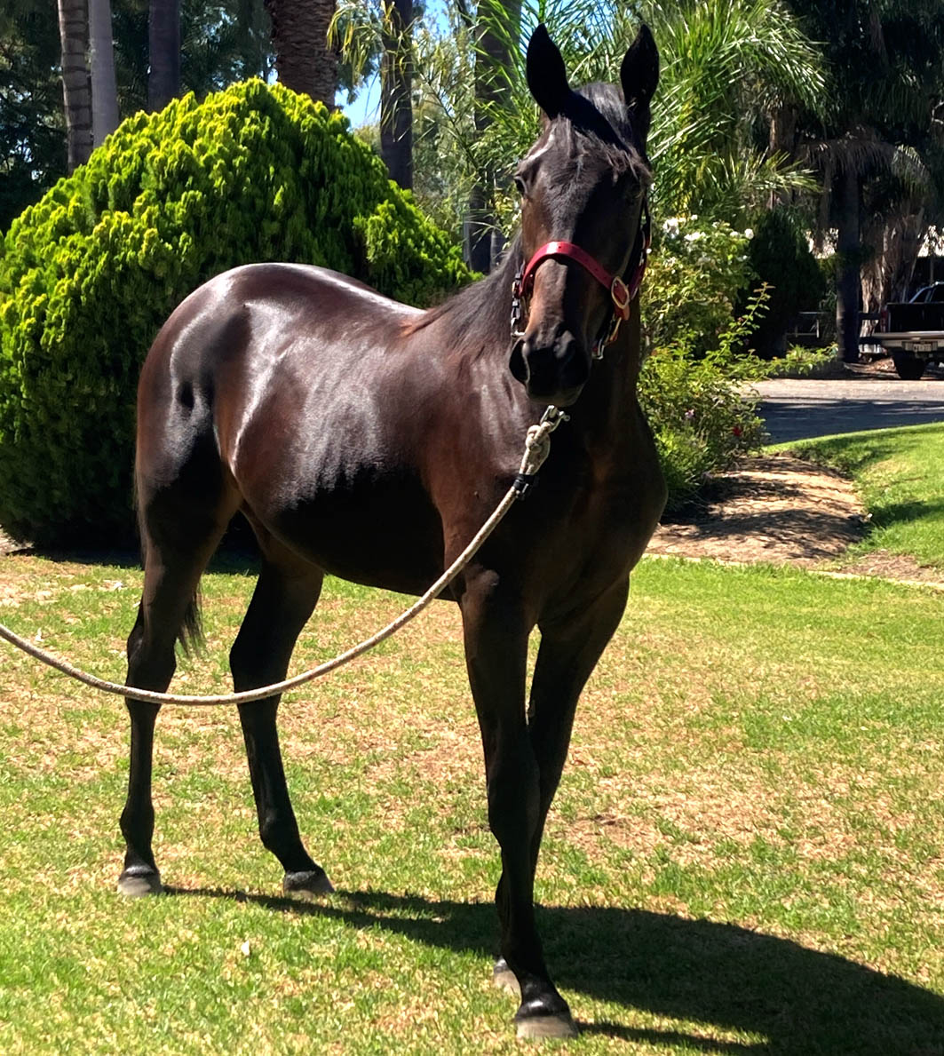 Quick to make a huge impact